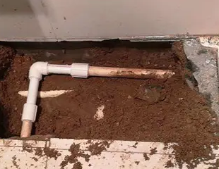 莒县测漏水哪家好