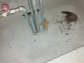 莒县卫生间测漏水价格明细